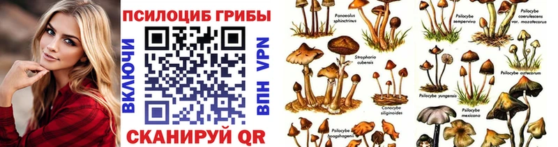 кракен зеркало  Владимир  Галлюциногенные грибы мухоморы 