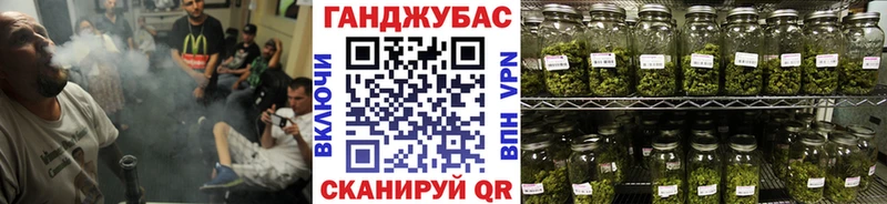 как найти ссылка на мегу как войти Шишки марихуана конопля Владимир